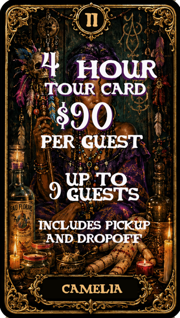 tourcard2 camelia
